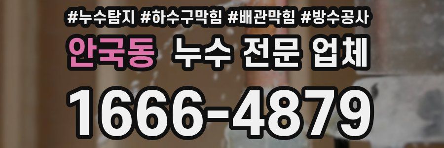 안국동 누수 전문 업체