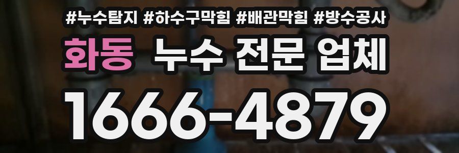 화동 누수 전문 업체