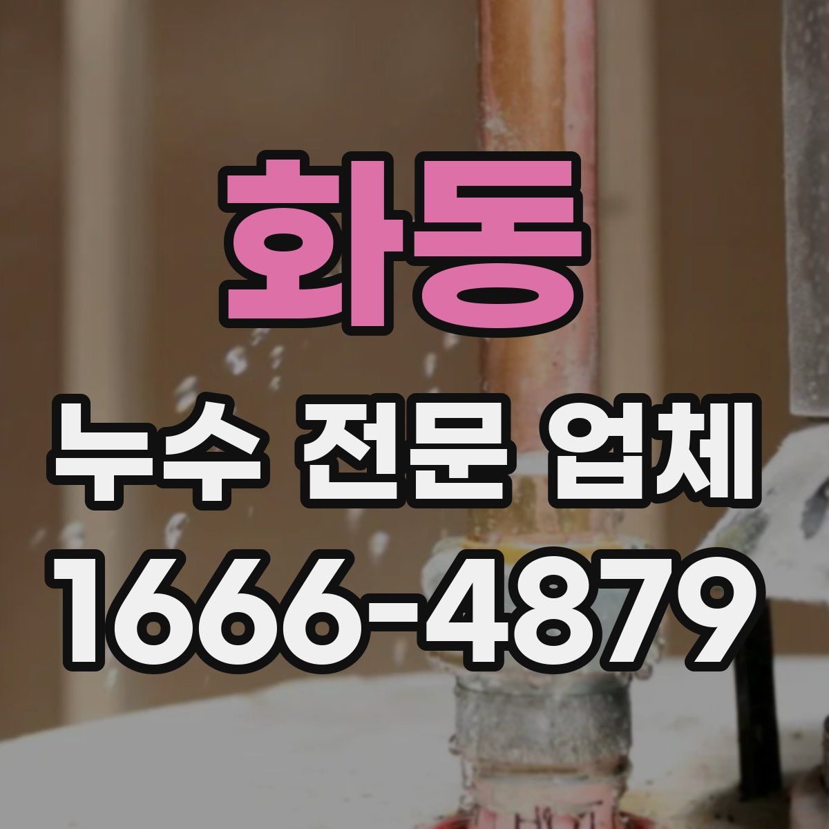 화동 누수 전문 업체