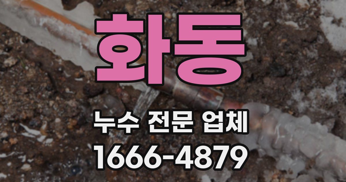 화동 누수 전문 업체
