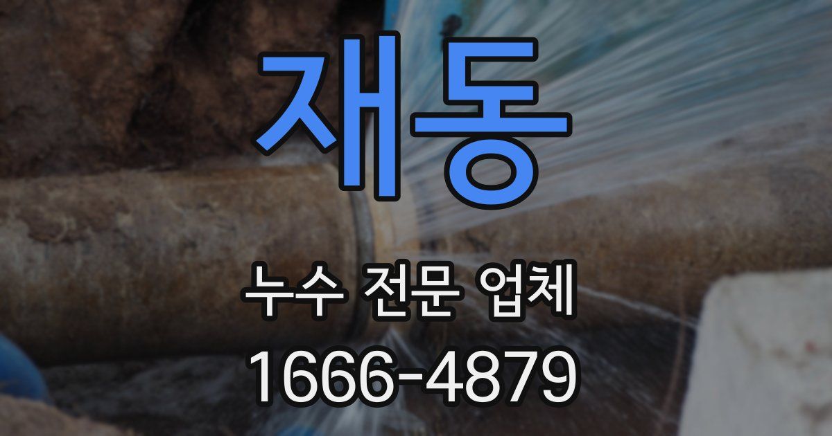 재동 누수 전문 업체