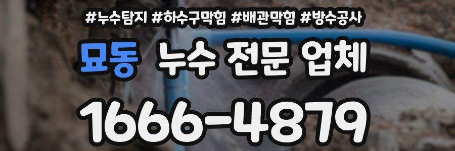 묘동 누수 전문 업체