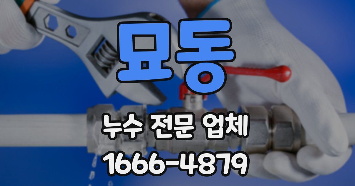 묘동 누수 전문 업체