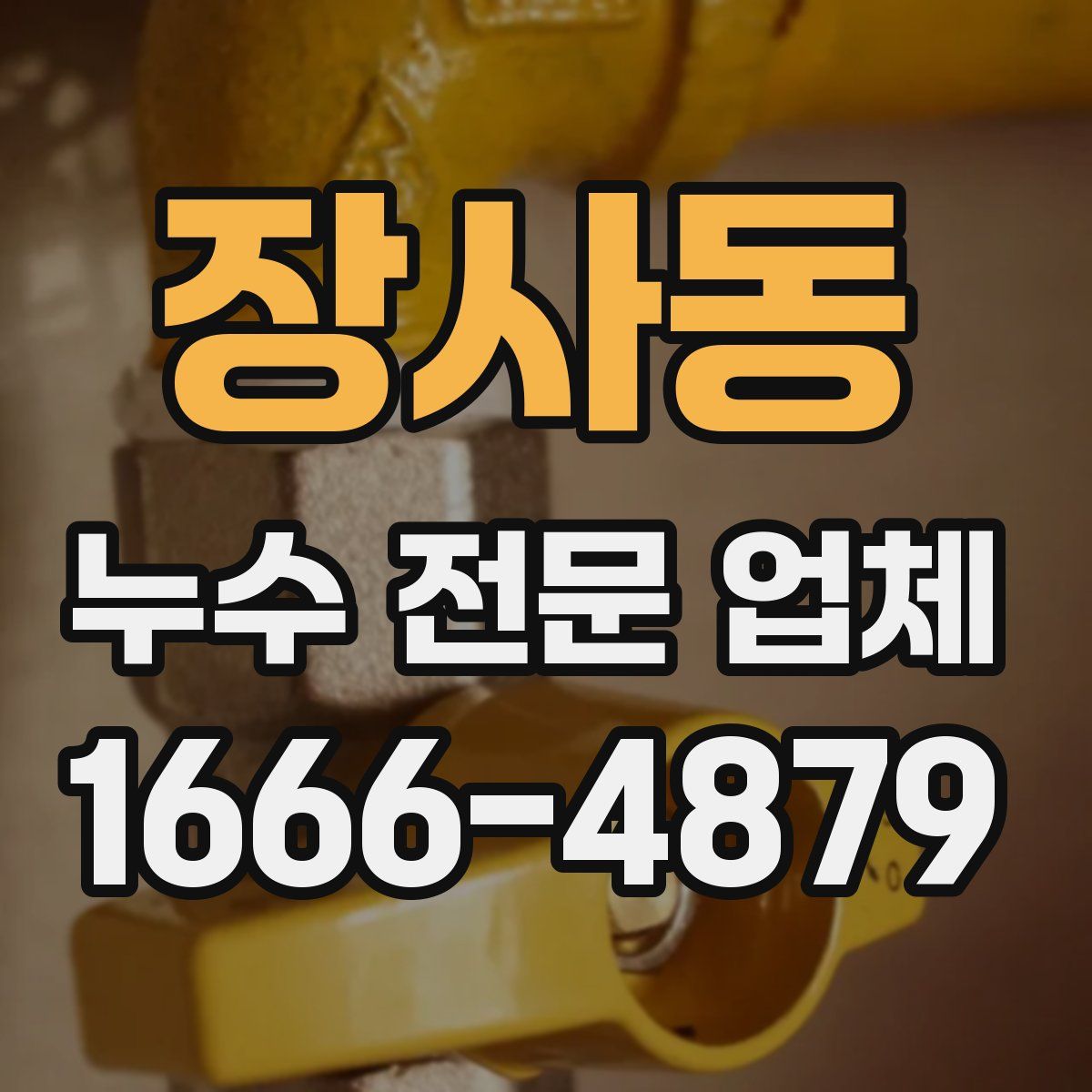장사동 누수 전문 업체