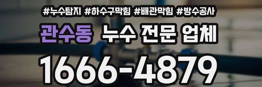 관수동 누수 전문 업체