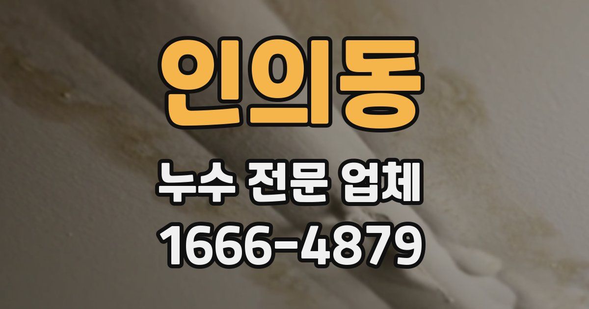인의동 누수 전문 업체