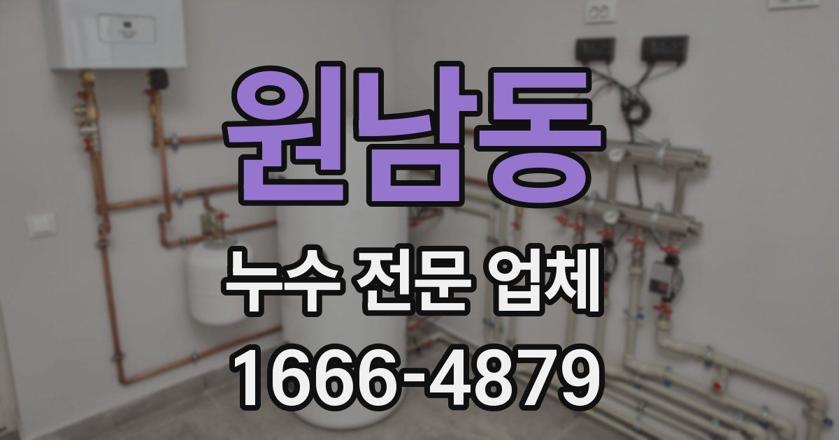 원남동 누수 전문 업체