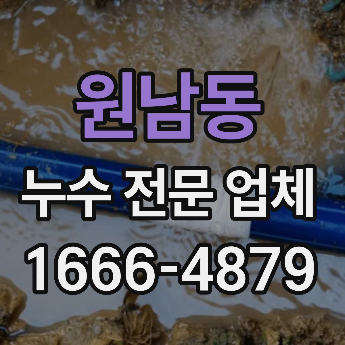 원남동 누수 전문 업체
