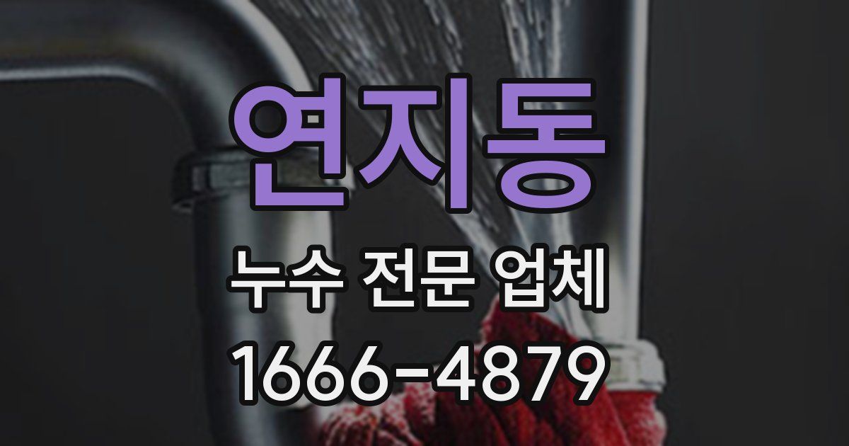 연지동 누수 전문 업체