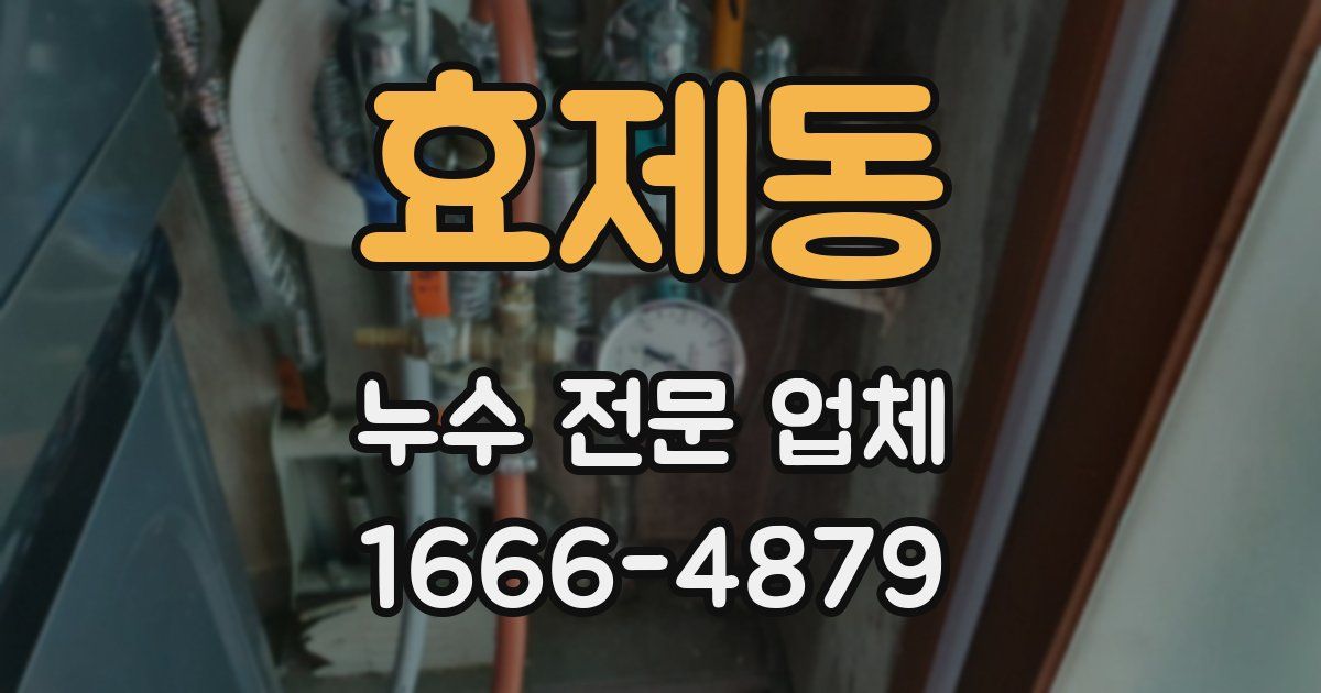 효제동 누수 전문 업체
