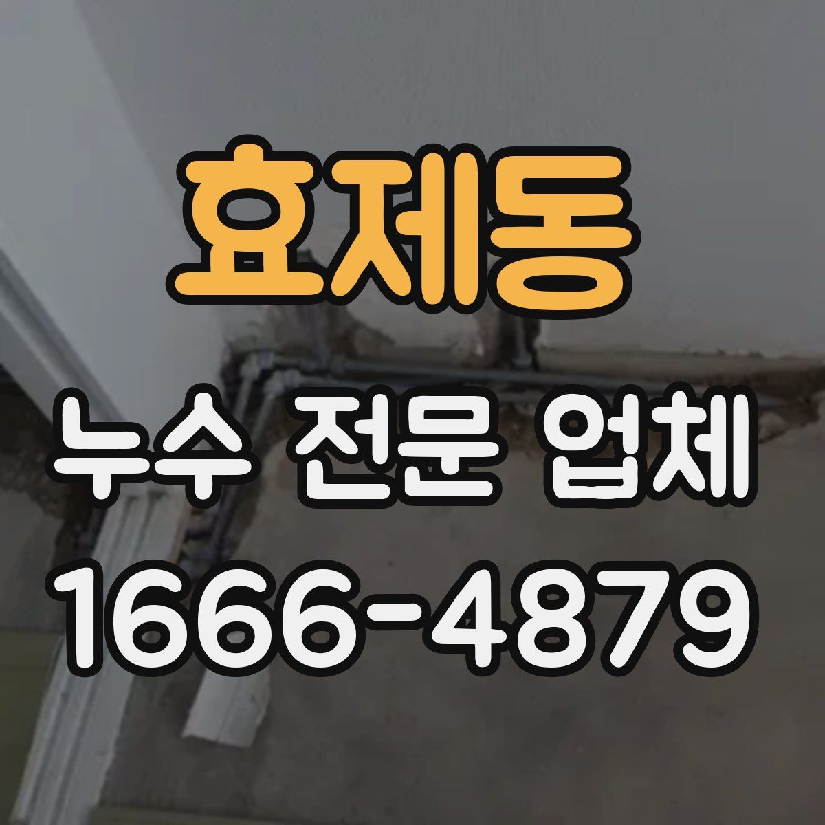 효제동 누수 전문 업체