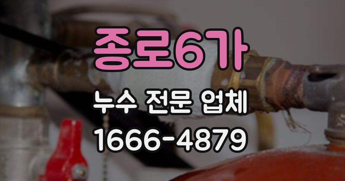 종로6가 누수 전문 업체