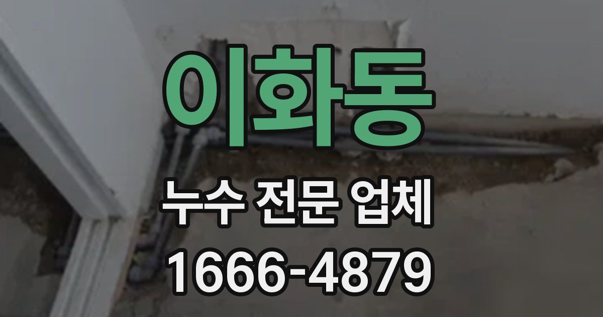 이화동 누수 전문 업체