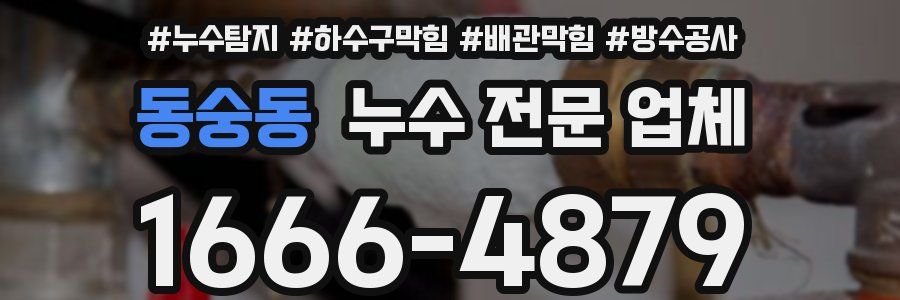 동숭동 누수 전문 업체