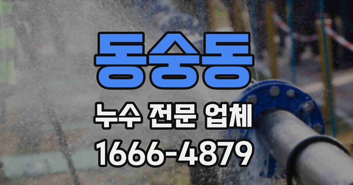 동숭동 누수 전문 업체