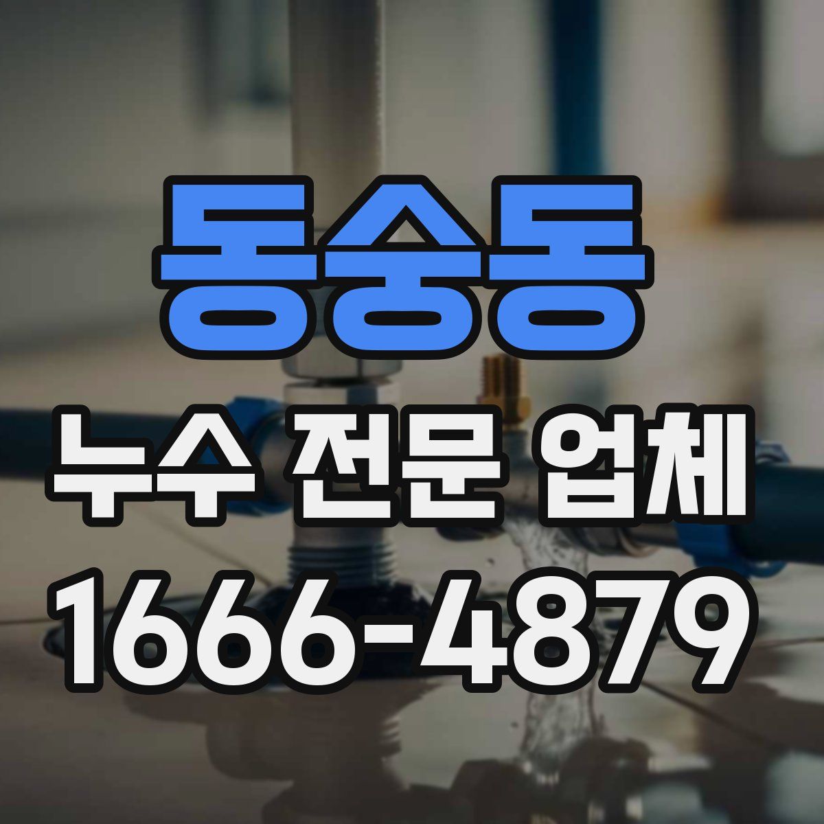 동숭동 누수 전문 업체