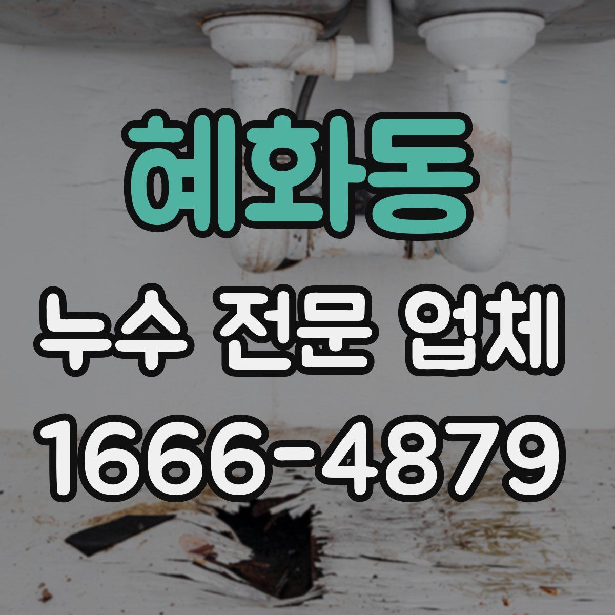 혜화동 누수 전문 업체