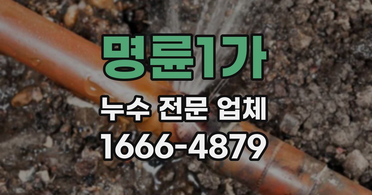 명륜1가 누수 전문 업체