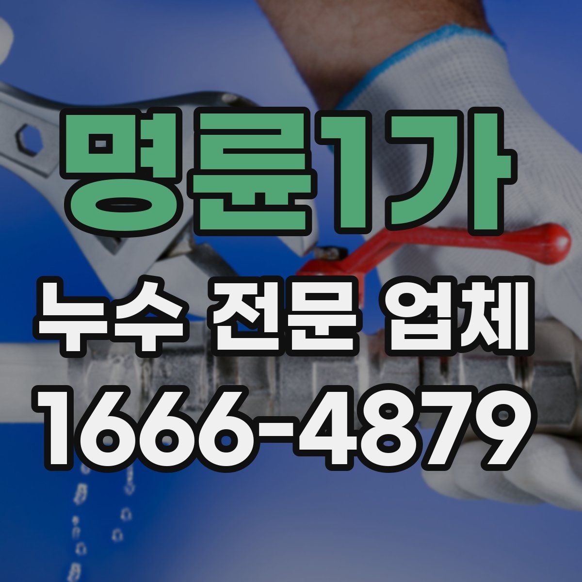 명륜1가 누수 전문 업체