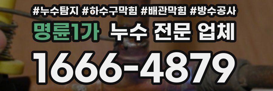 명륜1가 누수 전문 업체