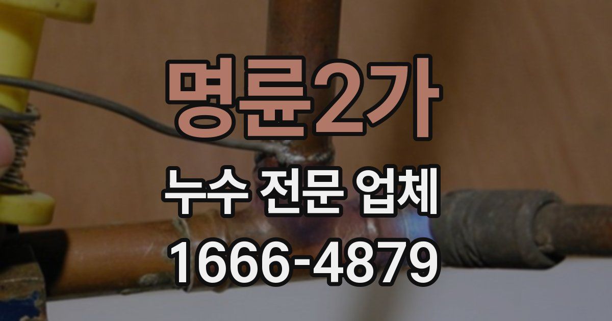 명륜2가 누수 전문 업체