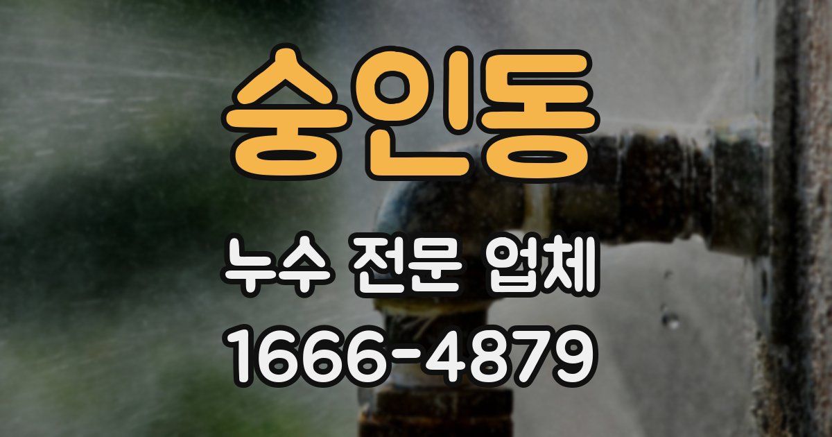 숭인동 누수 전문 업체