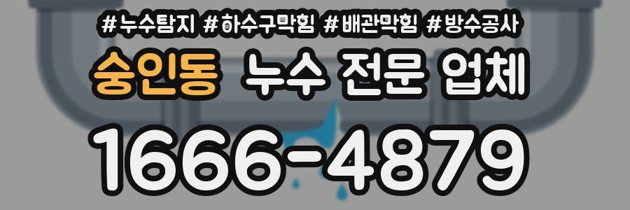 숭인동 누수 전문 업체
