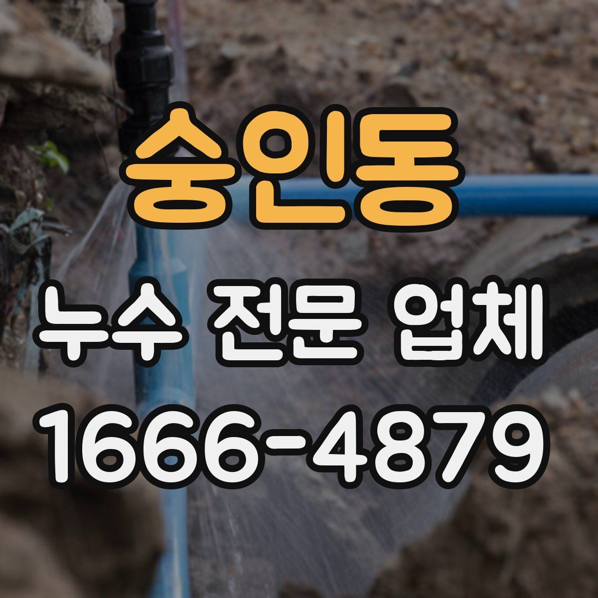숭인동 누수 전문 업체