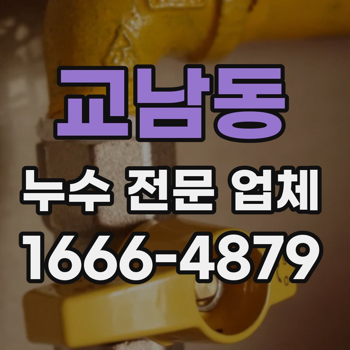 교남동 누수 전문 업체