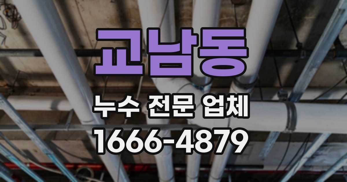 교남동 누수 전문 업체