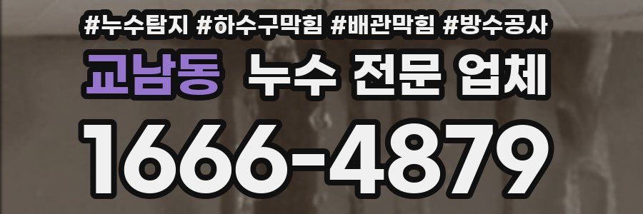 교남동 누수 전문 업체
