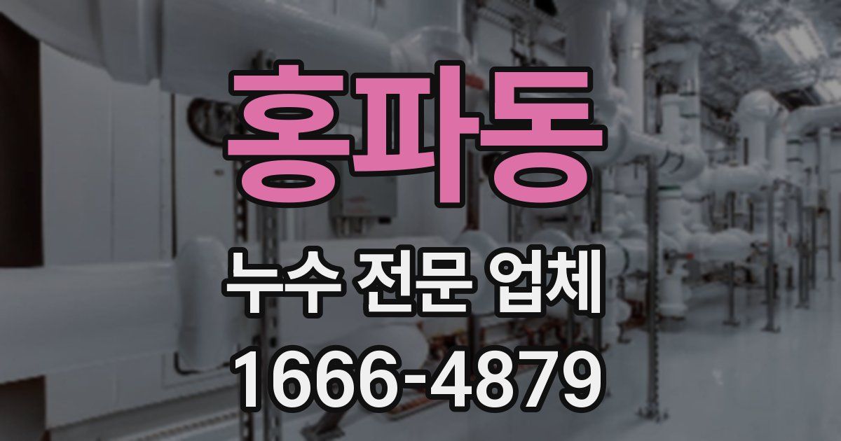 홍파동 누수 전문 업체