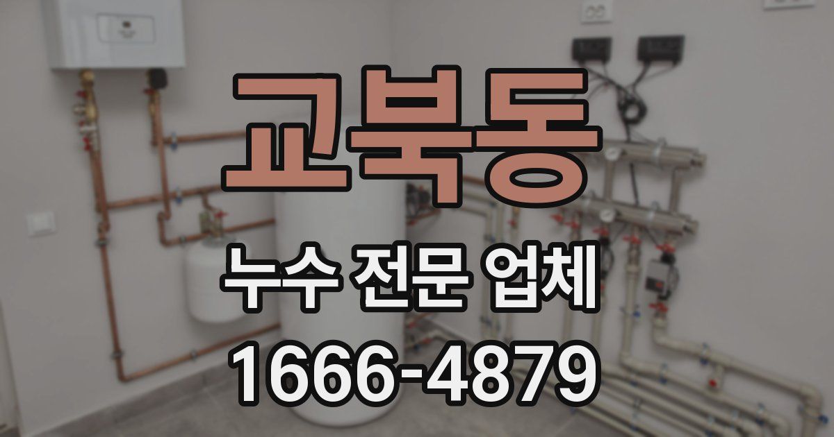 교북동 누수 전문 업체