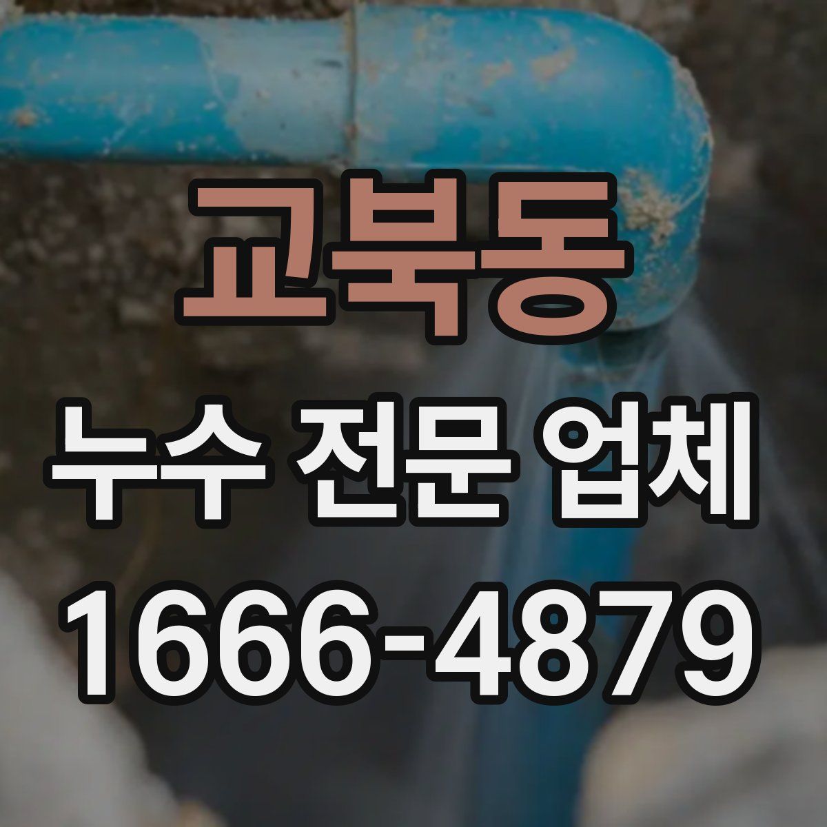 교북동 누수 전문 업체