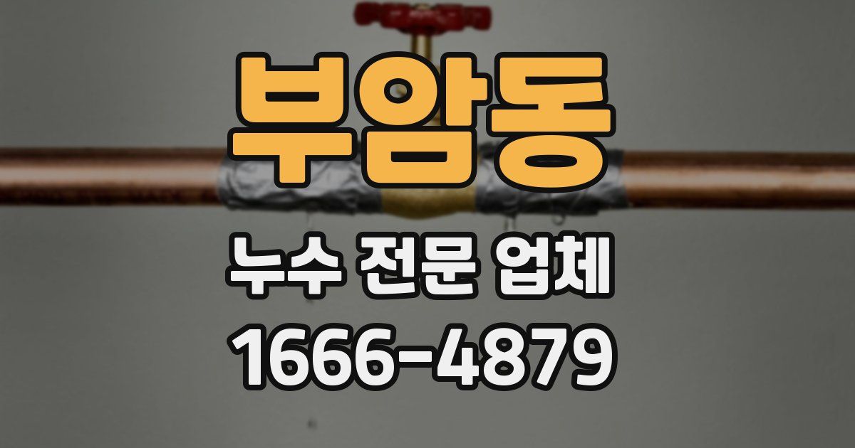 부암동 누수 전문 업체