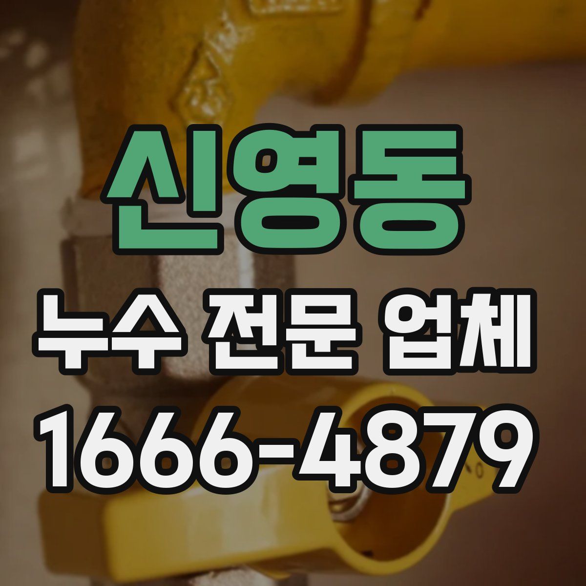 신영동 누수 전문 업체