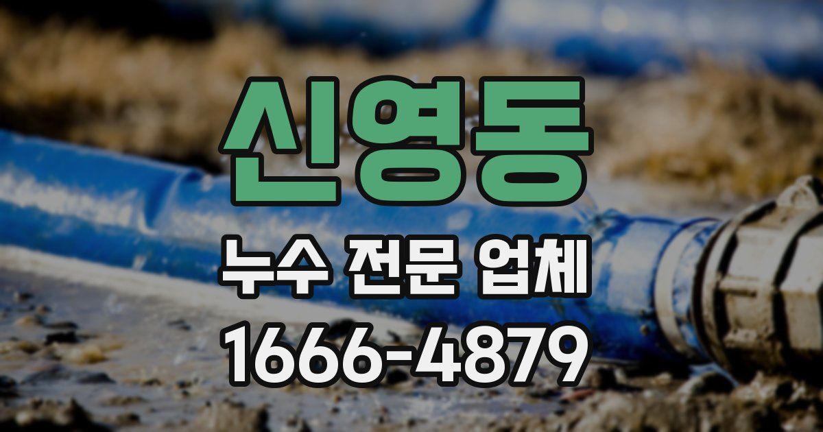 신영동 누수 전문 업체