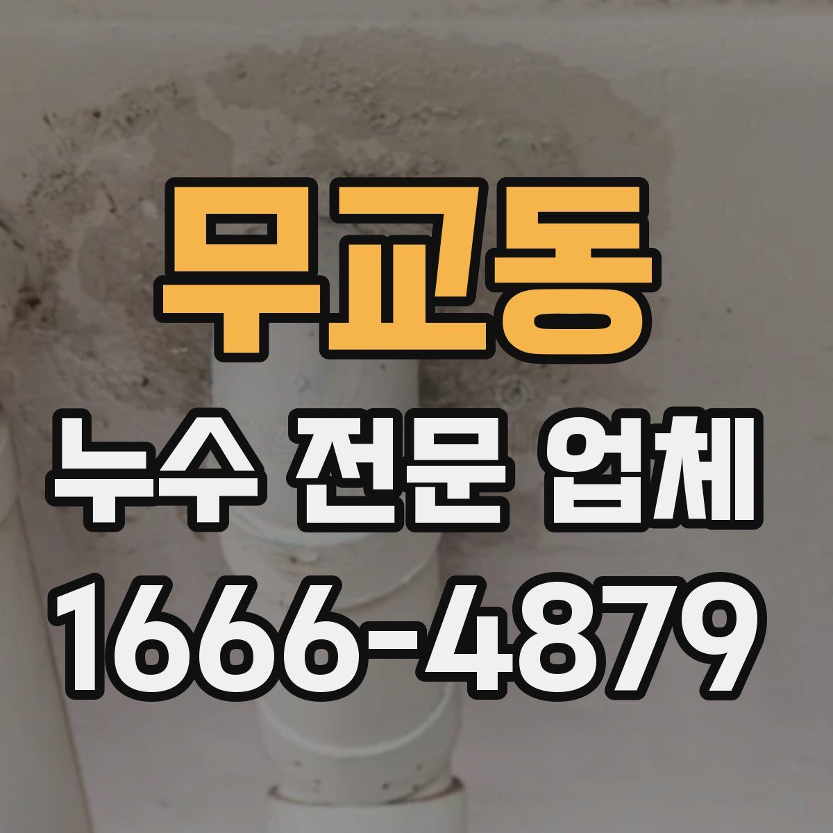 무교동 누수 전문 업체