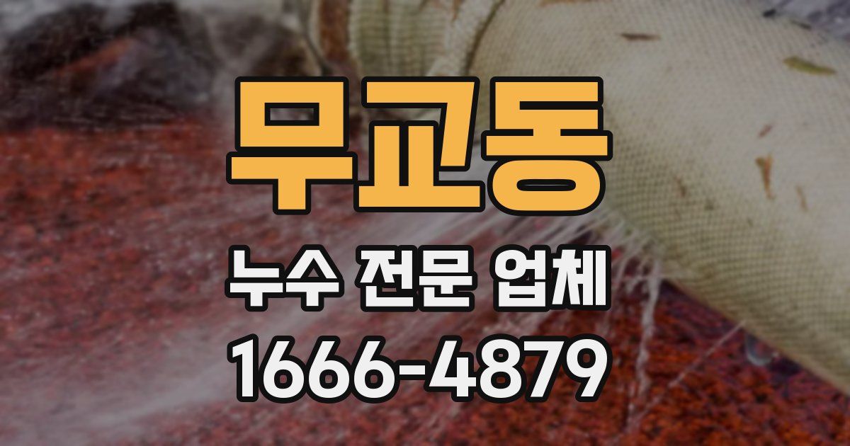 무교동 누수 전문 업체