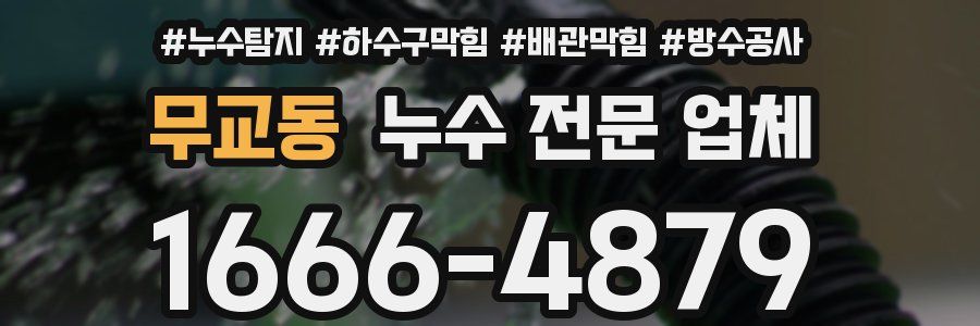 무교동 누수 전문 업체