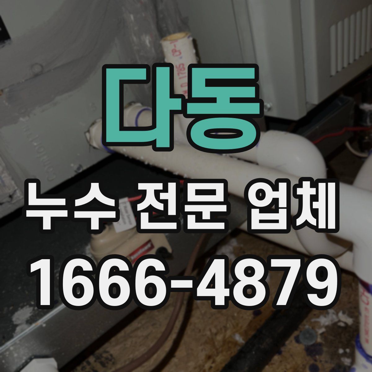 다동 누수 전문 업체