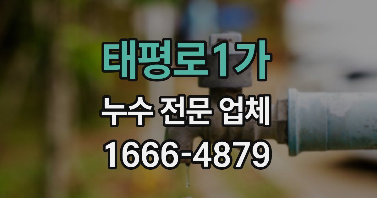 태평로1가 누수 전문 업체