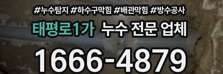 태평로1가 누수 전문 업체
