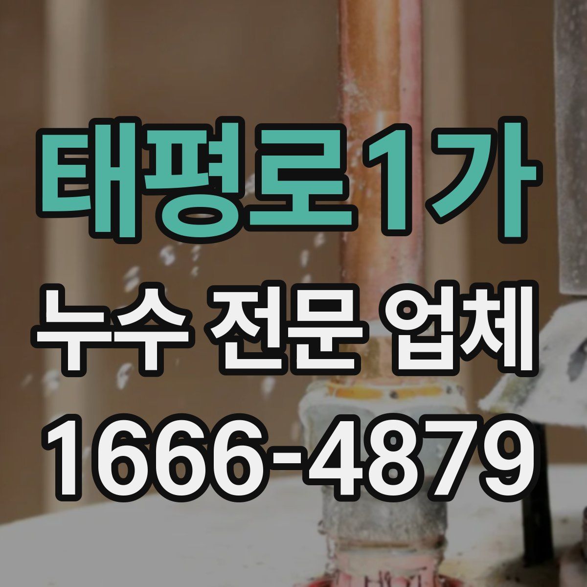 태평로1가 누수 전문 업체