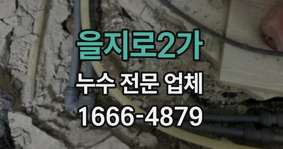 을지로2가 누수 전문 업체