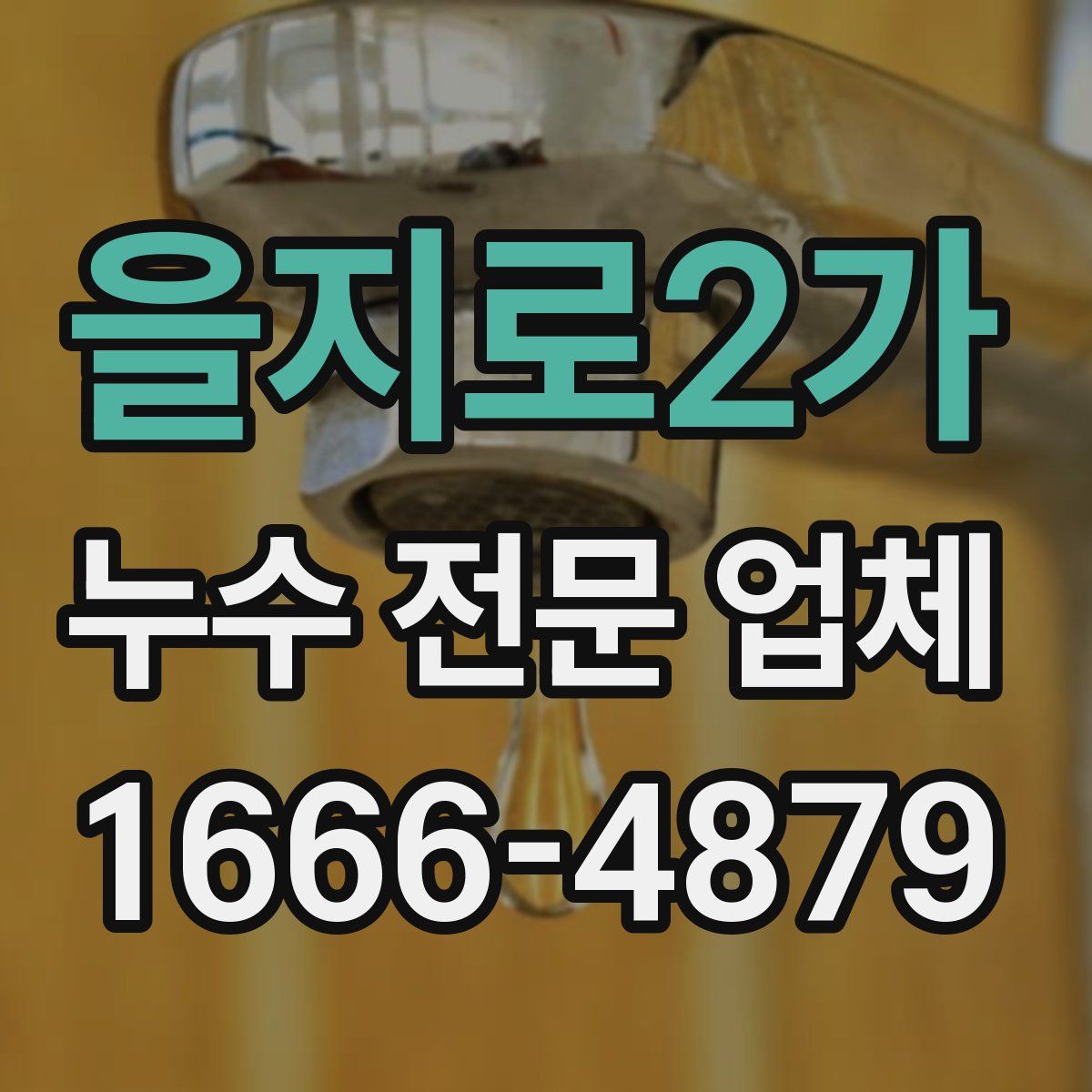 을지로2가 누수 전문 업체