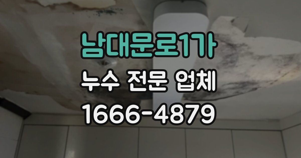 남대문로1가 누수 전문 업체