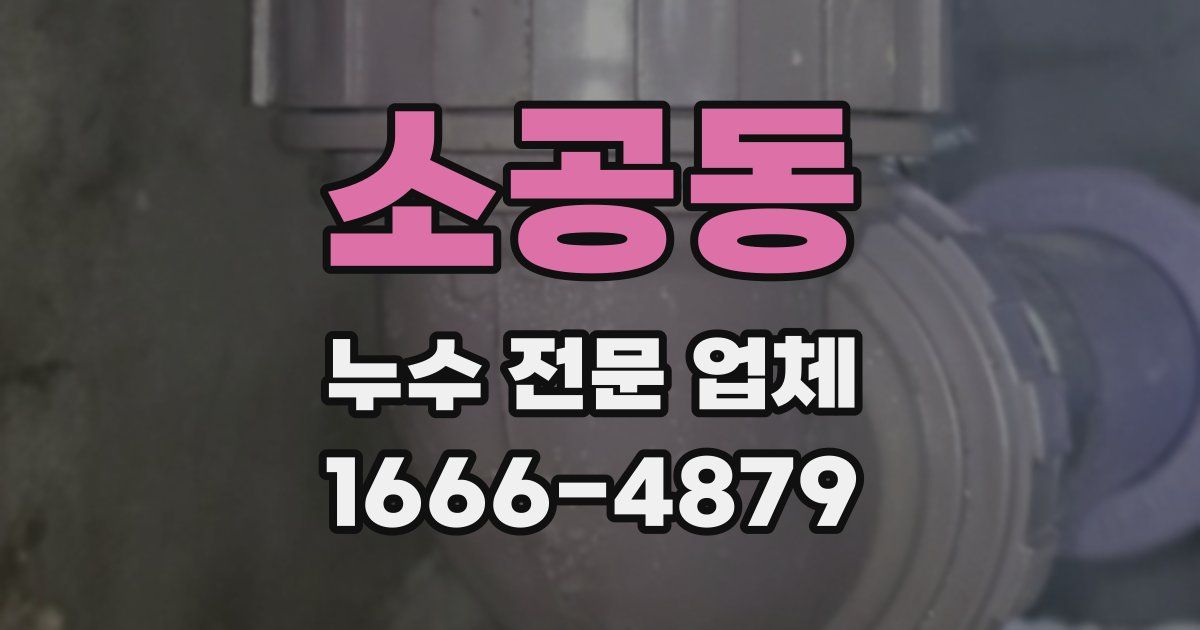 소공동 누수 전문 업체