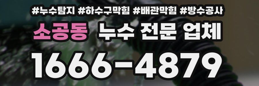 소공동 누수 전문 업체