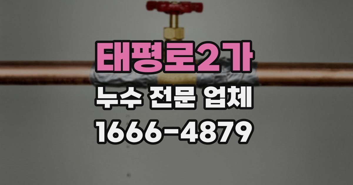 태평로2가 누수 전문 업체